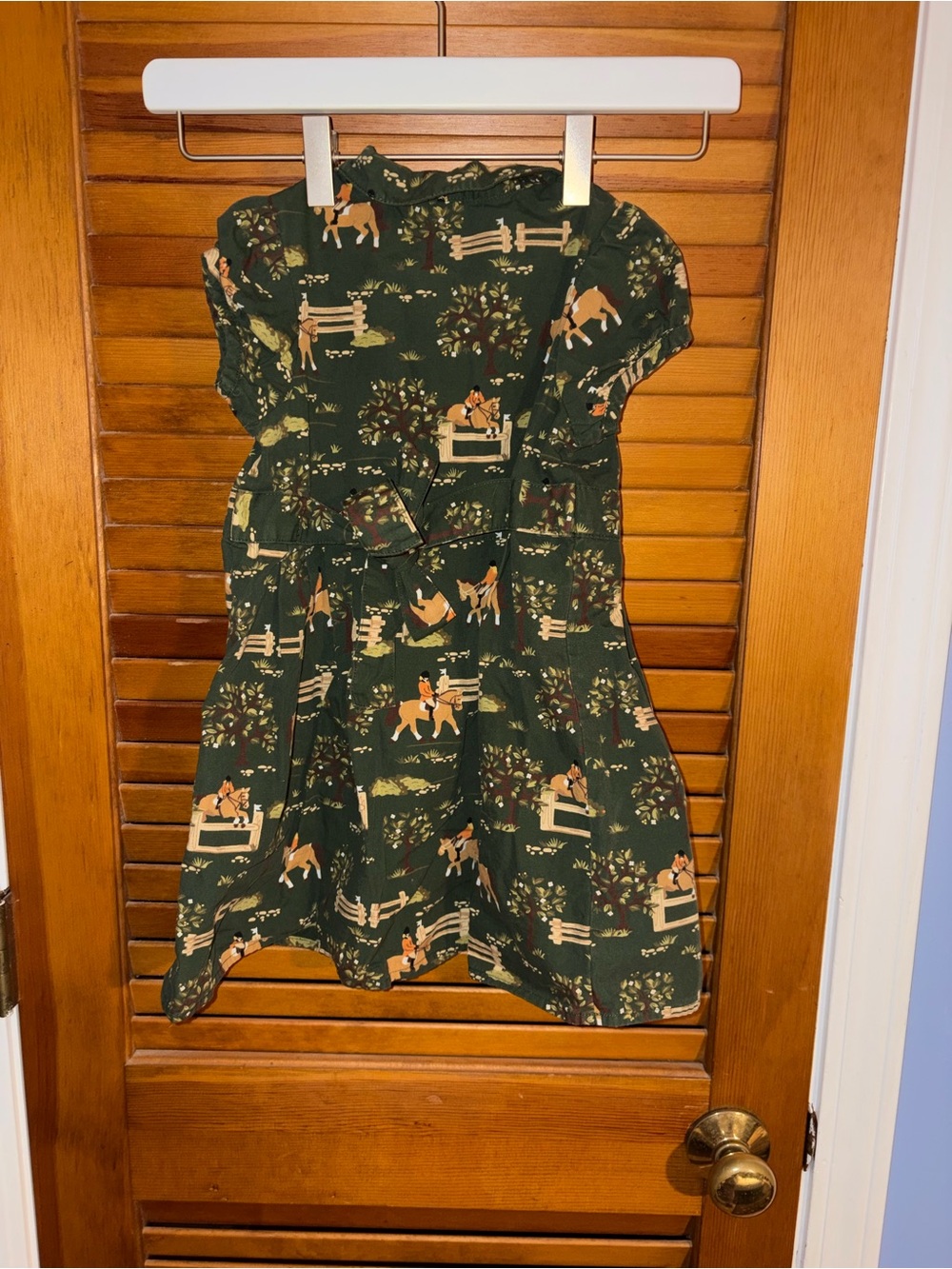 Gymboree Dark Green Horse & Fence Print Dress